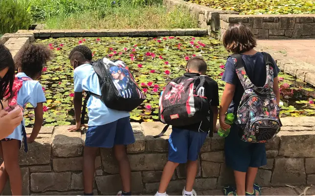 educacion aire libre